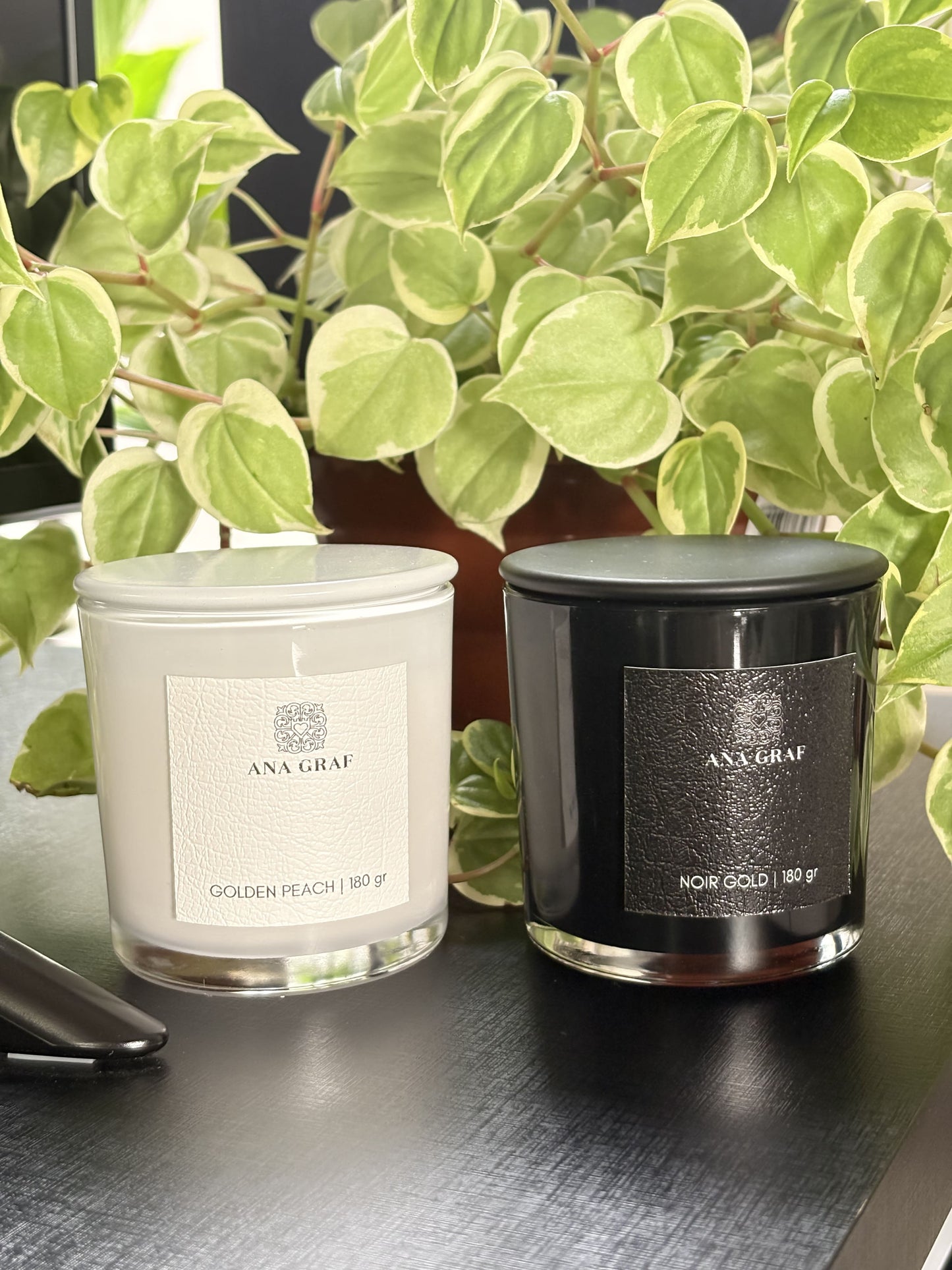 Vela Aromática White or Black